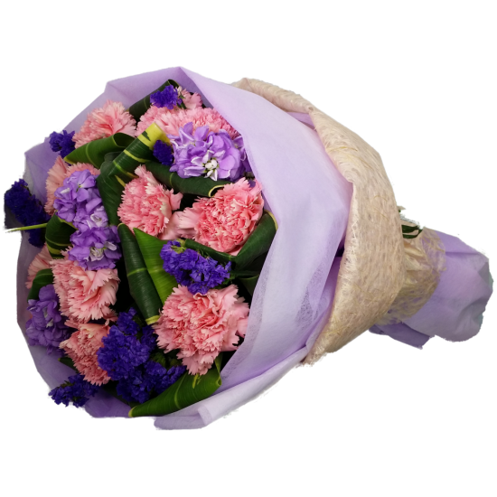 One Dozen Pink Color Carnations Bouquet in Round Shape