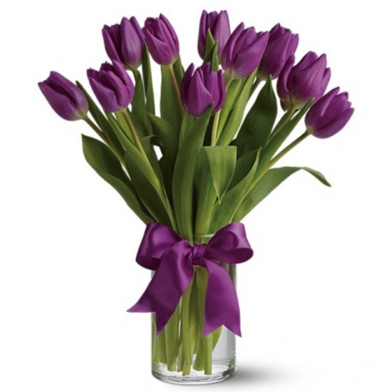 Passionate Purple Tulips