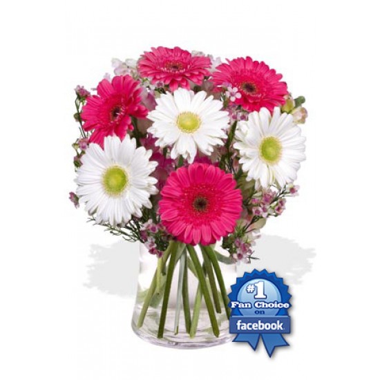 7 Gerbera Vase Bouquet