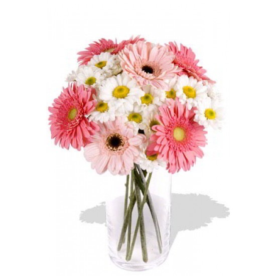 11pcs Mixed Gerbera and Chrysathemum Vase Bouquet