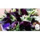 Black Color Calla Lily Bouquet