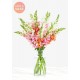 The Daniella Vase Bouquet